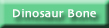 Dinosaur Bone